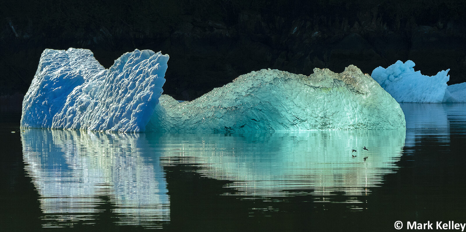 Icebergs, Tracy Arm, Alaska #3058