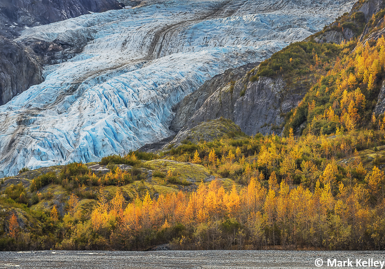 Exit Glacier, Kenai Fjords NP, Seward, Alaska #3079