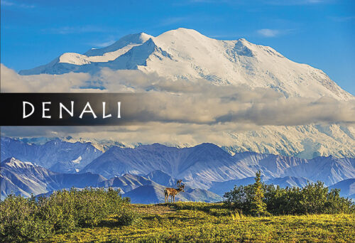 Denali Small Caribou - Magnet