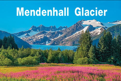 Mendenhall Glacier Flowers - Magnet