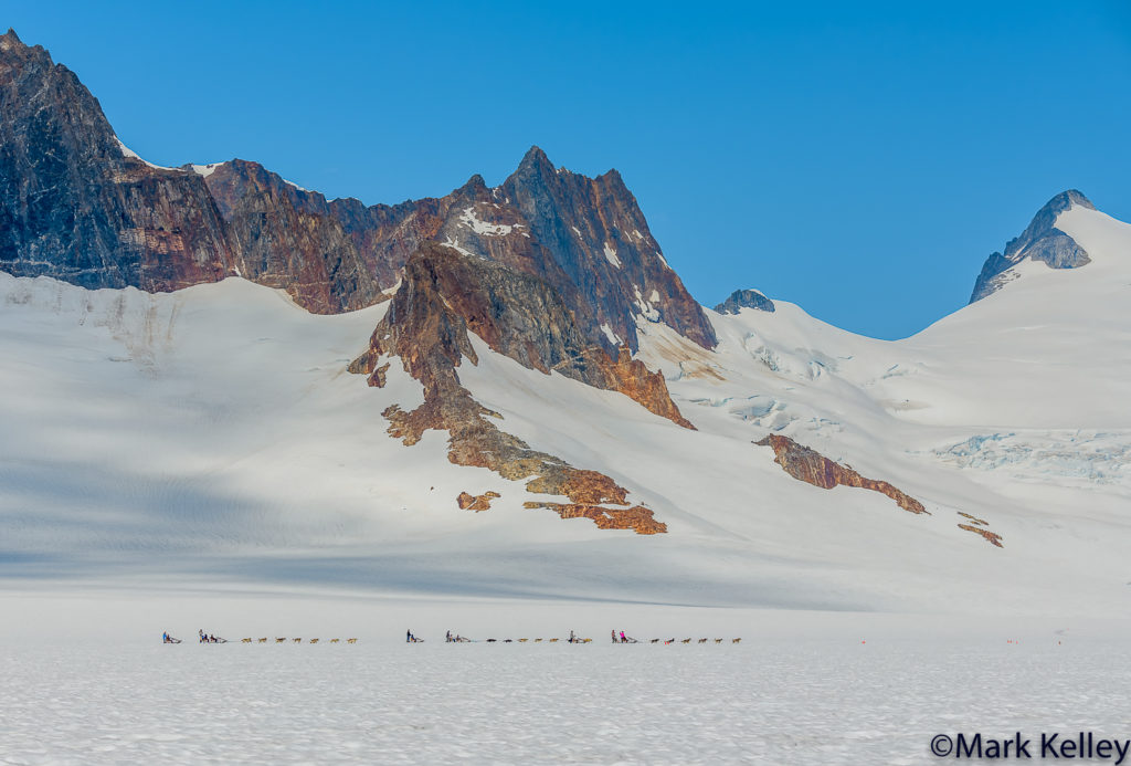 Dog Mushing, Juneau Icefield, Alaska #3111