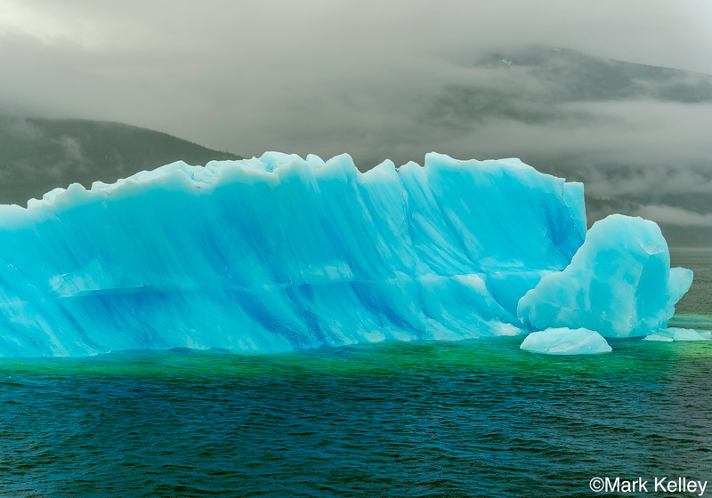 Iceberg, Tracy Arm, Alaska #3125