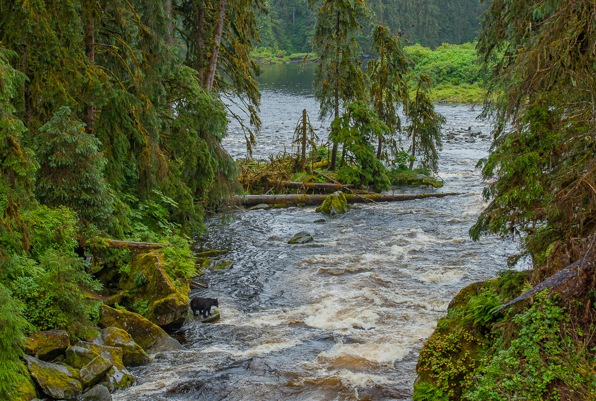 20110728_Overview_042-4