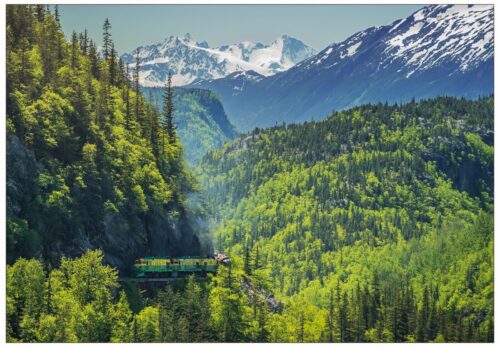 Skagway Train - Note Card 921