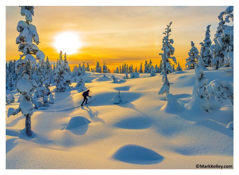 Winter Solitude – Note Card 987