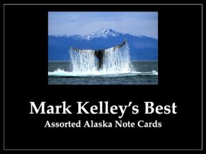 Mark Kelley’s Best – Assorted Note Cards – 1 Dozen