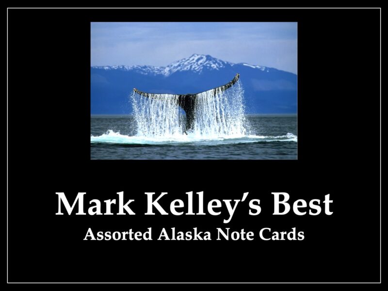 Mark Kelley's Best - Assorted Note Cards - 1 Dozen