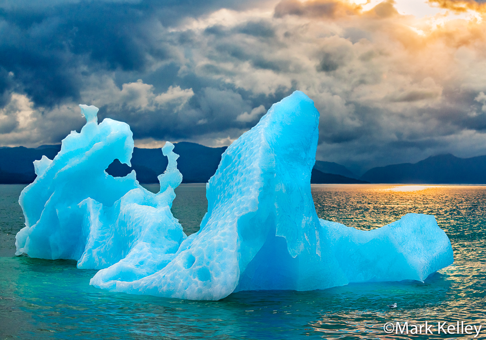 Iceberg, LeConte Glacier, Alaska #3428