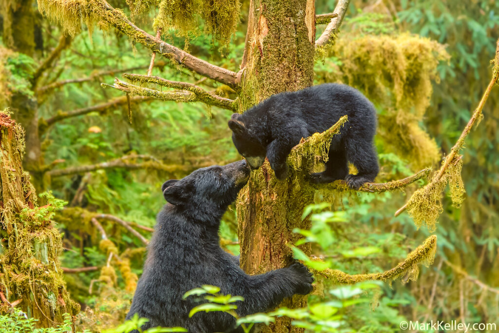 Happy Mother’s Day