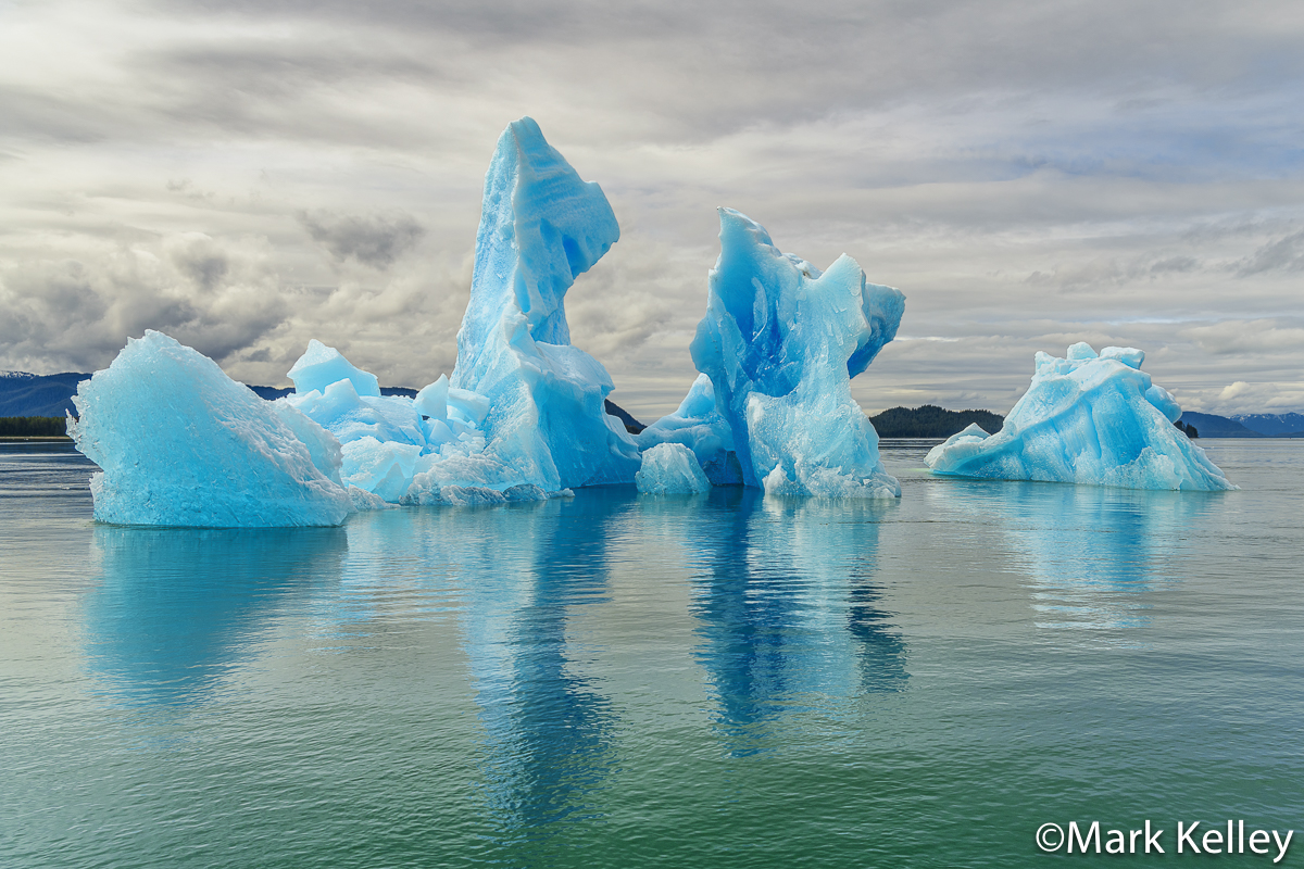 Blue Ice, Tracy Arm, Alaska #3399