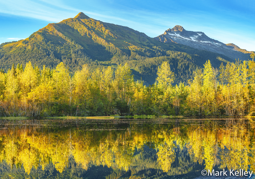 Fall in Juneau, Alaska #3442