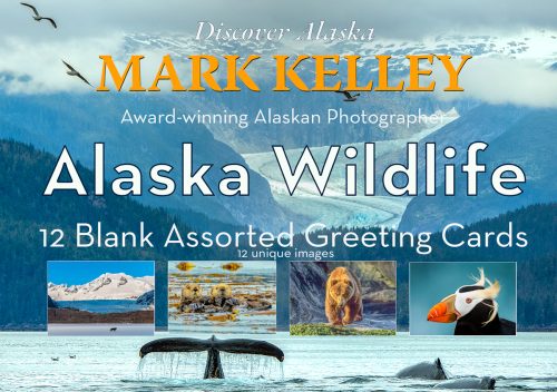 Alaska Wildlife - 12 Assorted Greeting Cards
