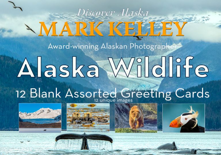 Alaska Wildlife – 12 Assorted Greeting Cards