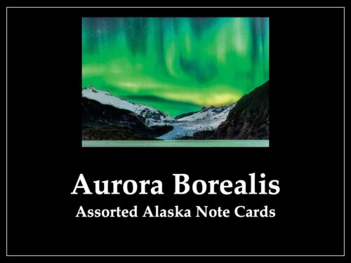 Aurora Borealis - Assorted Note Cards - 1 Dozen
