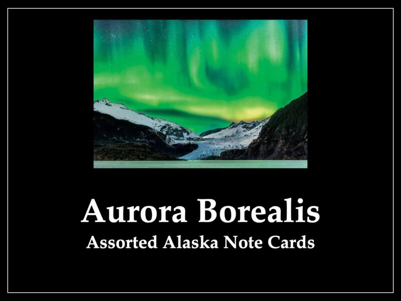 Aurora Borealis - Assorted Note Cards - 1 Dozen
