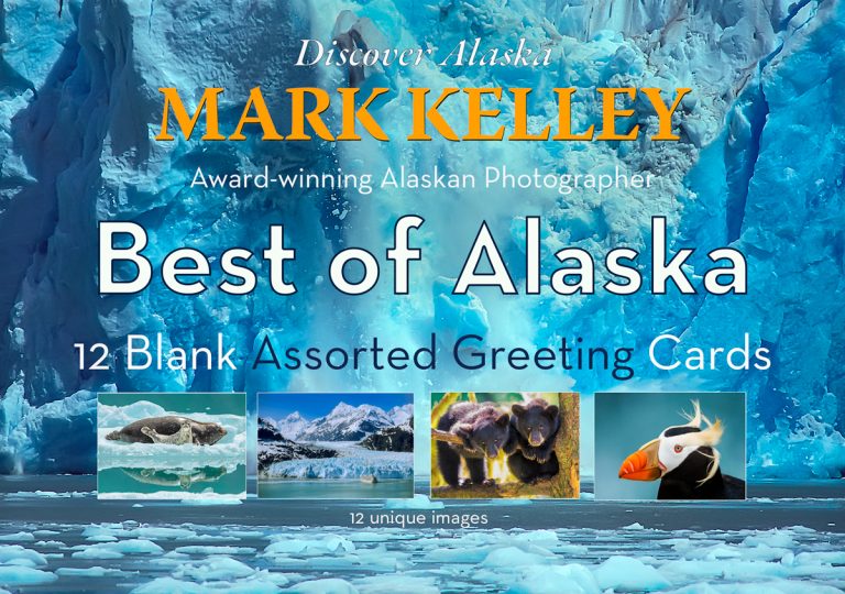 Mark Kelley’s Best – Assorted Note Cards – 1 Dozen