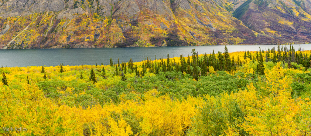Carcross, Yukon, Canada #3437