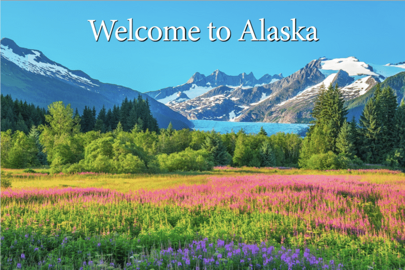 Mendenhall Flowers - Juneau, Alaska - Postcard PC114