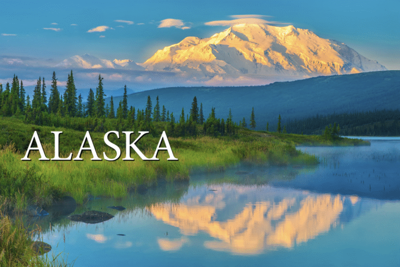 Denali - Alaska - Postcard PC2316
