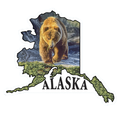 Brown Bear Morning Walk - State of Alaska Photo Sticker