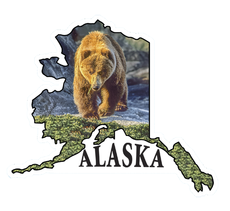 Brown Bear Morning Walk – State of Alaska Photo Sticker