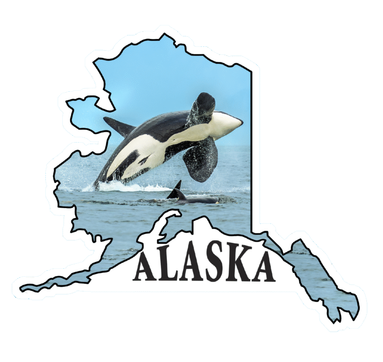 Orca Breach – State of Alaska Photo Sticker
