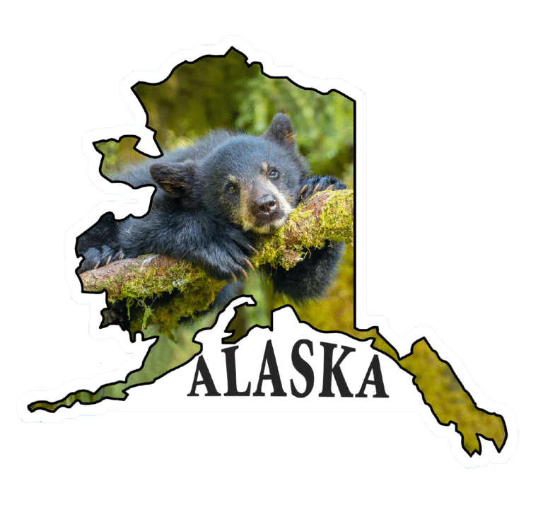 Bear Cub Daydream – State of Alaska Photo Sticker