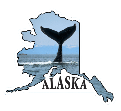 Whale Tail Sunset - State of Alaska Photo Sticker