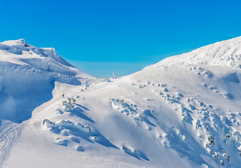 Spring Skiing, Juneau, Alaska #3368